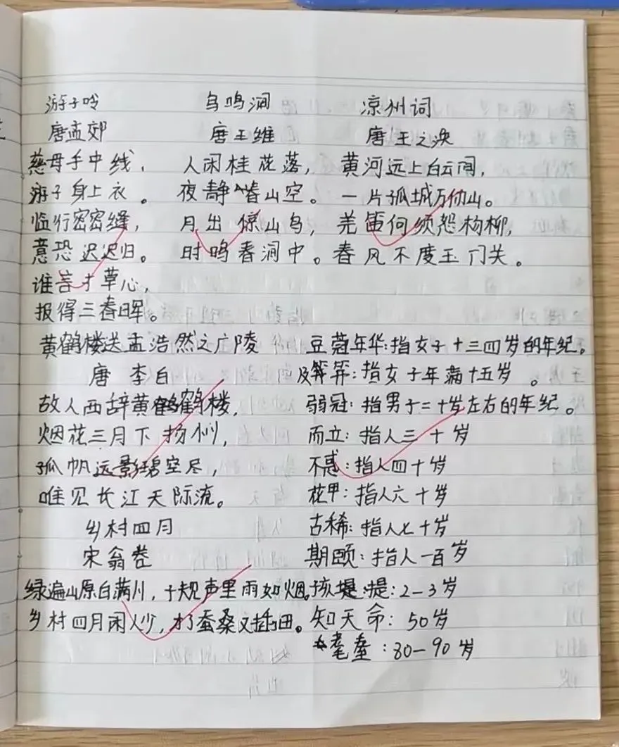 如何为青少年设计一个充满趣味性的篮球训练场地？_1